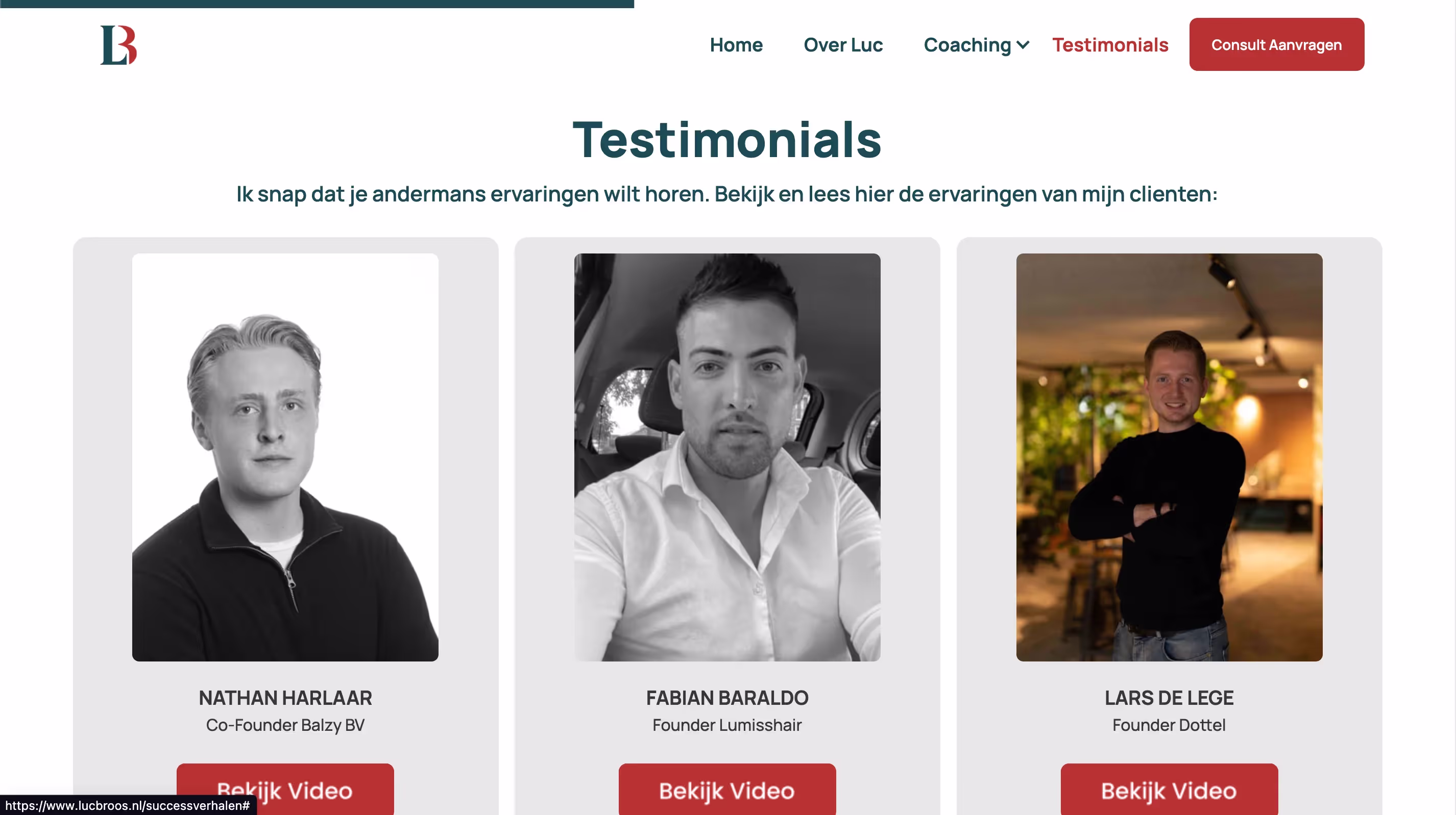 Luc Broos project screenshot 3